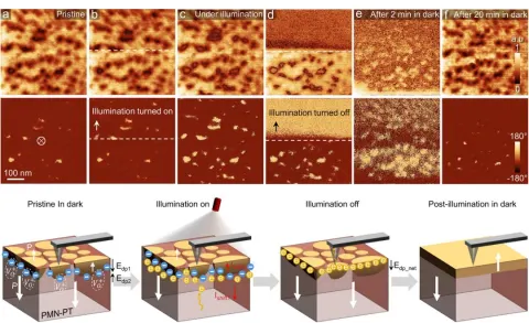 Luz e escuridão controlam estrutura de material optoeletrônico promissor.