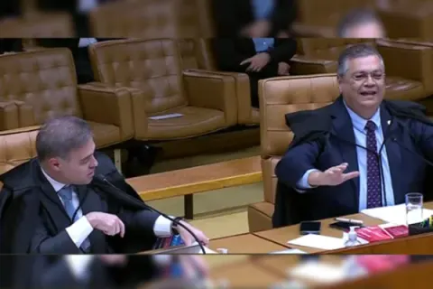 Novo não tem legitimidade para pedir afastamento de chefe da PF, diz Dino